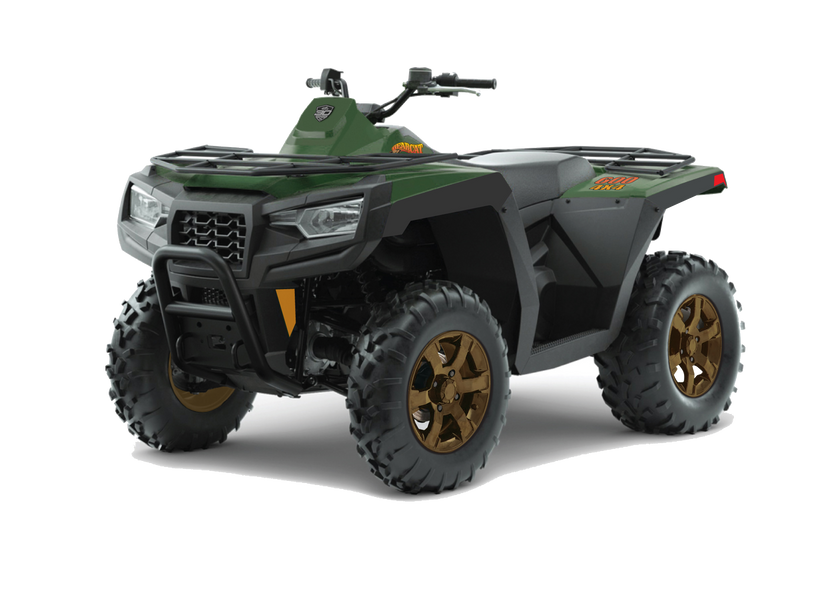 ALTERRA BEARCAT 600 2026